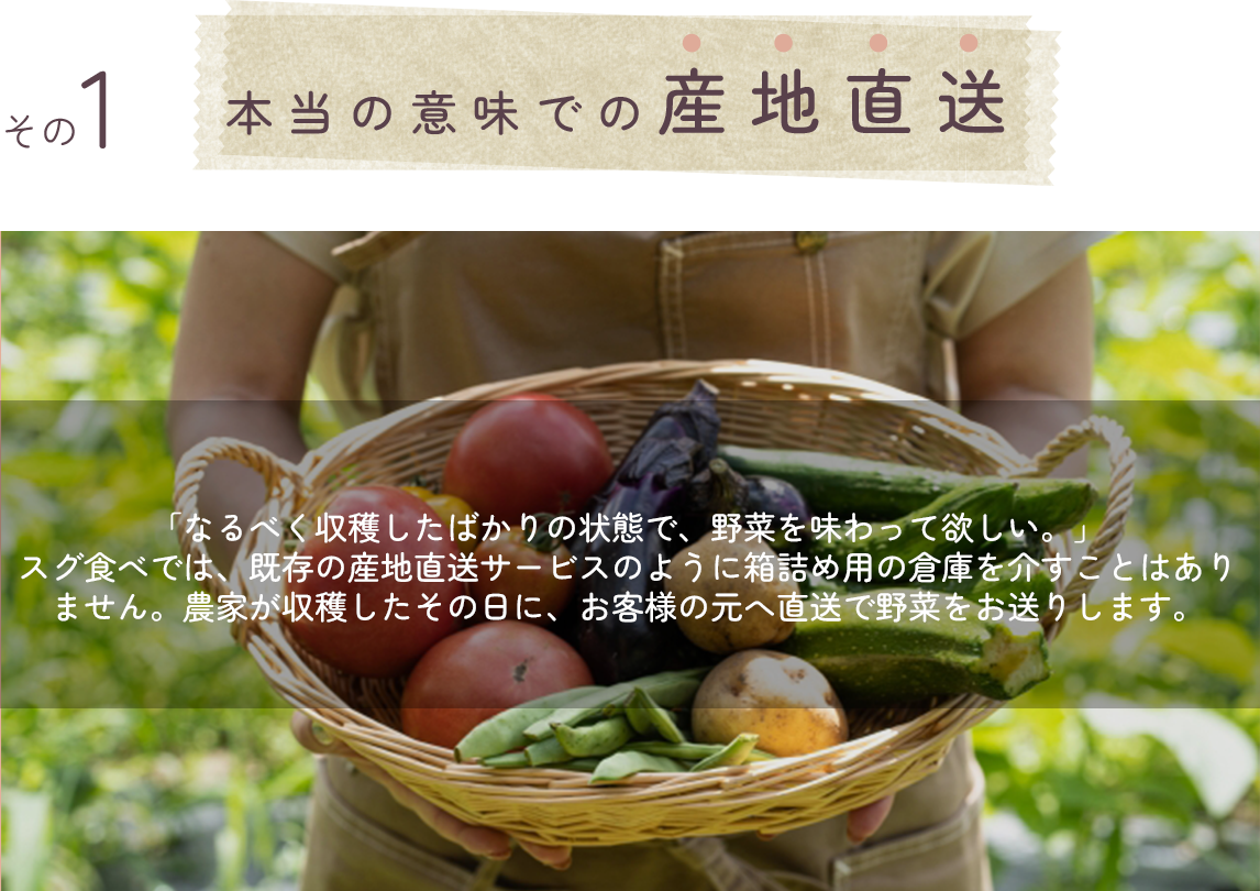 スグ食べが選ばれる理由その1