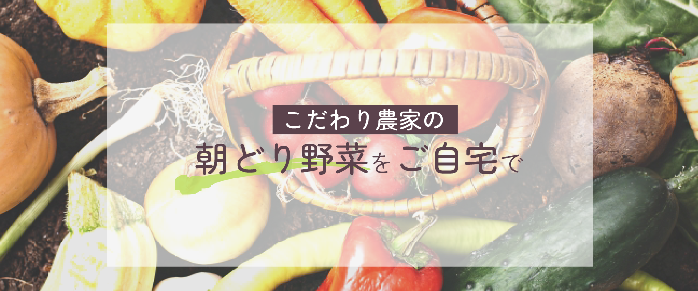 こだわり農家の朝どり野菜をご自宅で